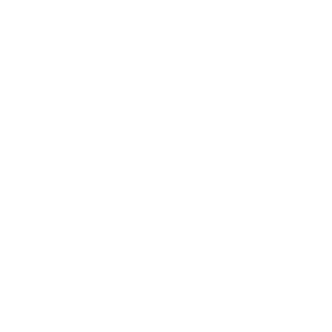 Siegel Made in Austria