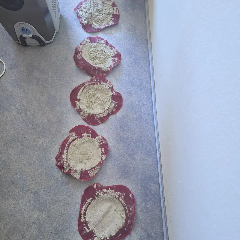 Fünf Staubfilter nach Matratzenreinigungen untereinander auf einem grauen Teppich, oben links der Sauger im Anschnitt